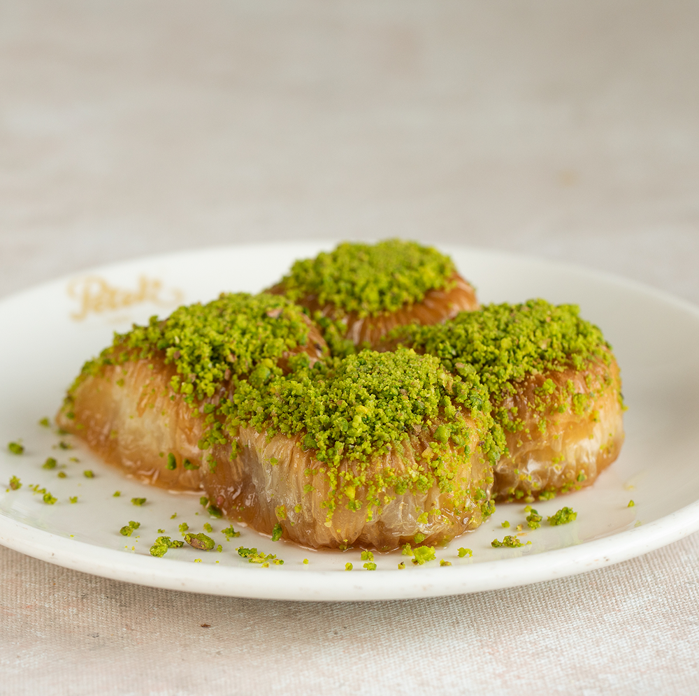 Fıstıklı Bülbül Yuvası